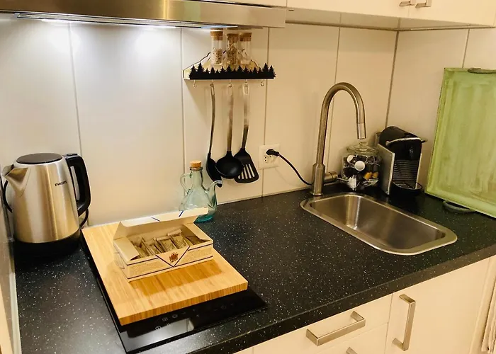 Your Pied-a-terre In Apartament *